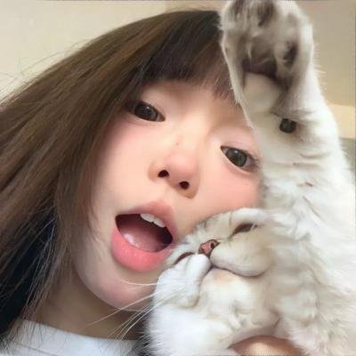 海龟们